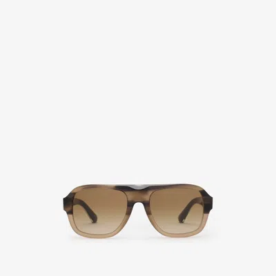 Burberry Classic Pilot Sunglasses In Brown