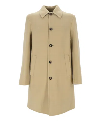 Burberry Cotton Trench Coat In Green