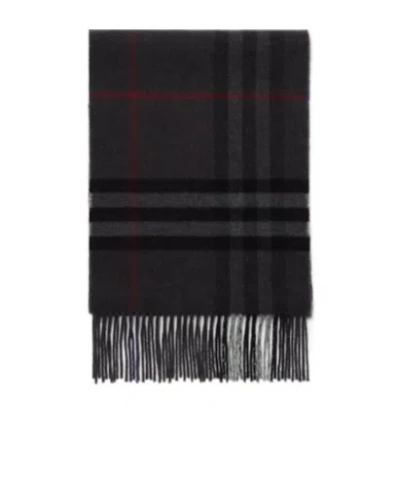 Burberry Contrast Check Cashmere Scarf In Black