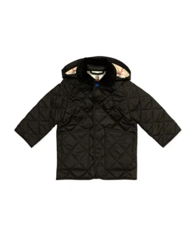 Burberry Corduroy-collar Quilted Jacket In Black