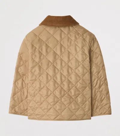 Burberry Kids' Corduroy-collar Quilted Jacket In Brown