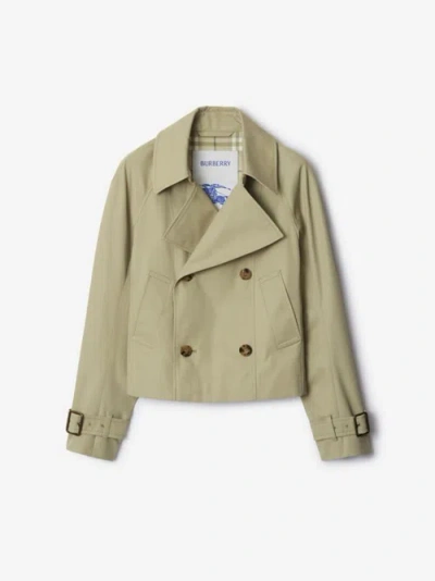 Burberry Double-breasted Trench Jacket In Grey