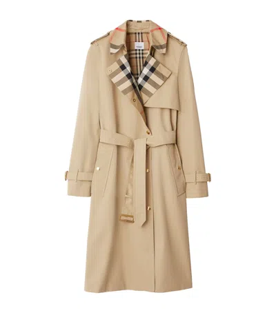 Burberry Cotton Check-collar Trench Coat In Neutral