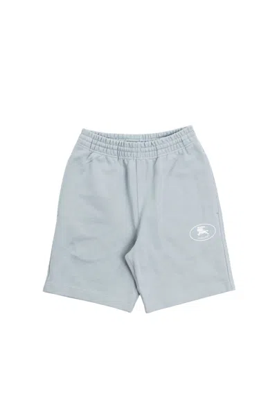 Burberry Cotton Pants In Gray