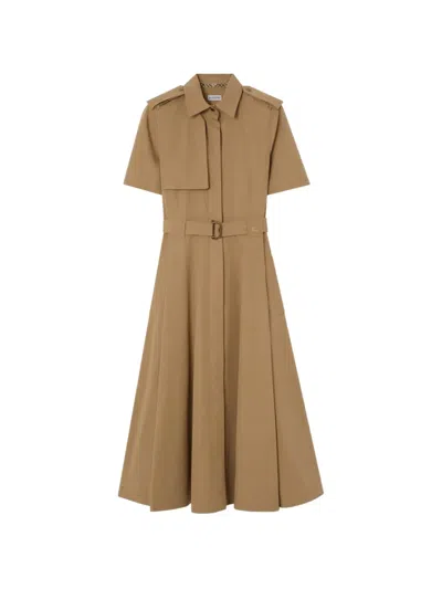 Burberry Tanya Belted Cotton-gabardine Midi Dress In Brown