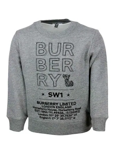 Burberry Kids' Sudadera - Gris In Gray