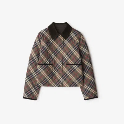 Burberry Cropped Check Quilted Cotton Jacket In Brown
