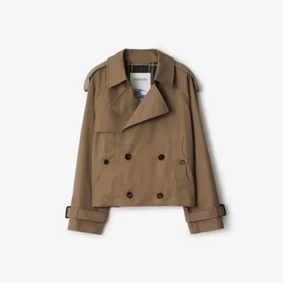 Burberry Cropped Gabardine Trench Jacket In Brown
