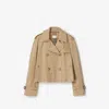 Burberry Double-breasted Cotton Lightweight Jacket In Brown