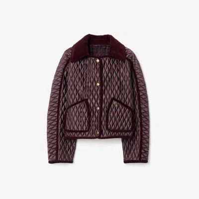 BURBERRY BURBERRY CROPPED QUILTED NYLON FLORISTON JACKET