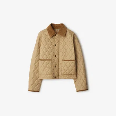 Burberry Cotton-corduroy-trimmed Quilted Shell Jacket In Brown
