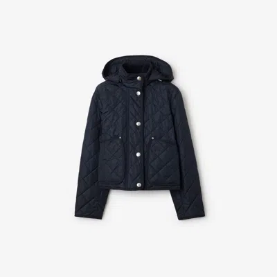 Burberry Cropped Quilted Nylon Jacket In Storm