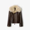 Burberry Cropped Shearling Aviator Jacket In Multi