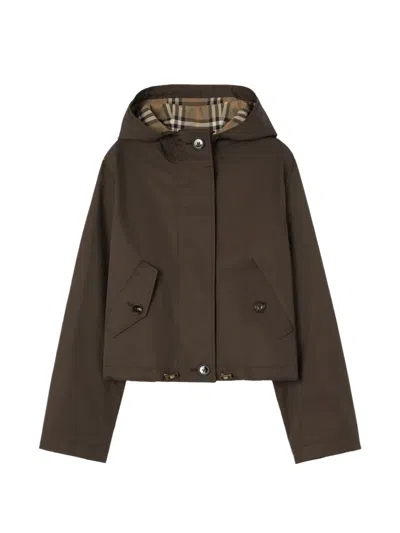 Burberry Tropical Gabardine Cropped Parka Coat In Brown