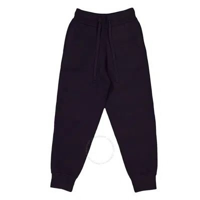 Burberry Dark Charcoal Blue Ashton Sweatpants In Grey/blue