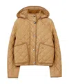 Burberry Humbie Quilted Nylon Down Jacket In Brown