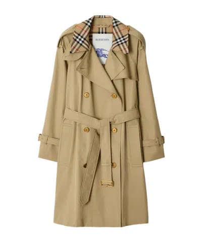 Burberry Double Breasted Belted Trench Coat In Brown