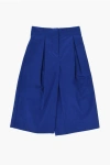 Burberry Double Pleat Hermia Palazzo Pants With Hidden Closure