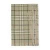 Burberry Ekd Check Scarf In Green