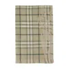 Burberry Ekd Check Scarf In Green
