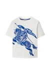 Burberry White T-shirt For Baby Boy With Print In Salt