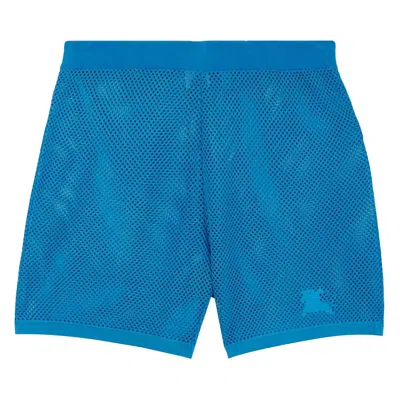 Pre-owned Burberry Ekd Mesh Shorts 'blue' | Men's Size L
