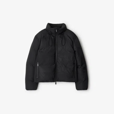 Burberry Ekd Nylon Puffer Jacket In Charcoal