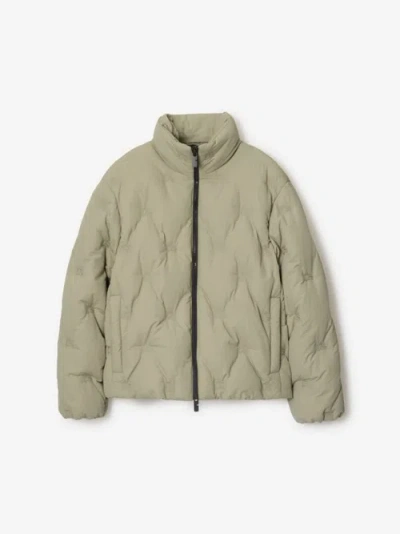 Burberry High-neck Quilted Jacket In Lichen