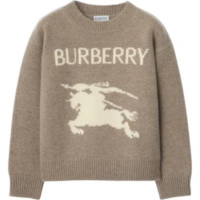Burberry Kids'  Childrens Ekd Wool Cashmere Sweater In Brown