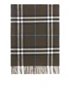 Burberry Embroidered Cashmere Scarf In Brown