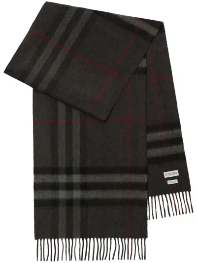 Burberry Embroidered Cashmere Scarf In Green