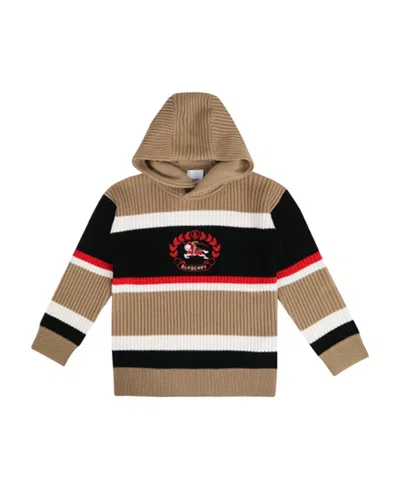 Burberry Embroidered Wool Knitted Hoodie In Brown