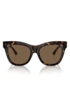 Burberry Evolution 54mm Cat Eye Sunglasses In Brown