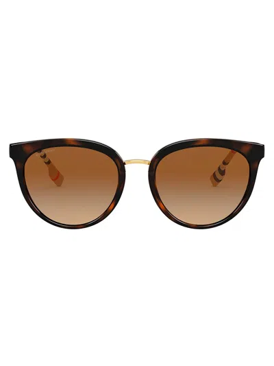 Burberry Eyewear Willow Pantos-frame Sunglasses In Brown