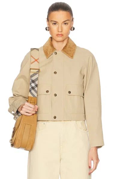 BURBERRY FIELD JACKET