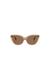 Burberry Full Frame Sunglasses In Brown