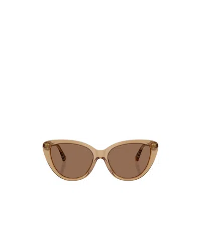 Burberry Full Frame Sunglasses In Brown