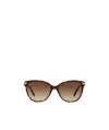 Burberry Womens Be4216 Cat Eye-frame Acetate Sunglasses Brown In Brown