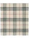 Burberry Women's Check Motif Scarf In Grey