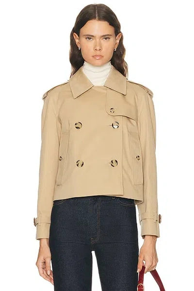 Burberry Haltye Jacket In Brown