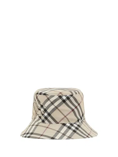 Burberry Hats E Hairbands In Brown