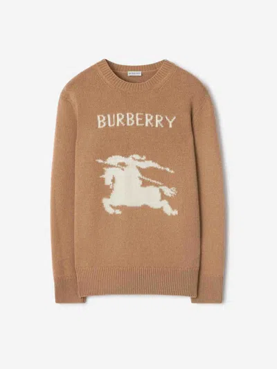 Burberry Wool And Cashmere Pullover With Ekd In Brown