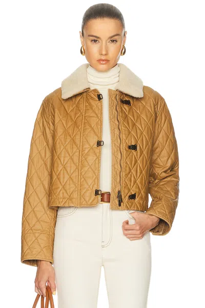 Burberry Howle Jacket In Brown