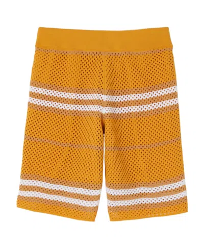 Burberry Icon-stripe Pointelle-knit Shorts In Multicolor