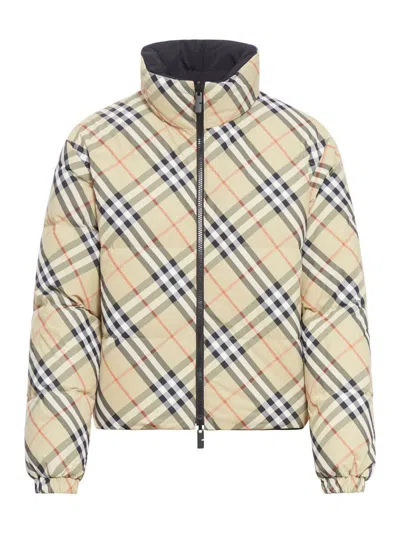 Burberry Jacket