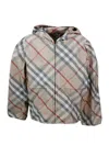 Burberry Chaqueta Casual - Gris In Gray