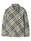 Burberry Boy's Owen Button Down Check-print Shirt In Lichen Ip Check