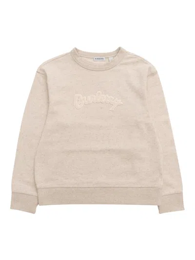Burberry Kid Boy Sweaters In Multi