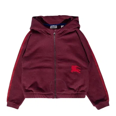Burberry Kids Darcy Zip-up Long Sleeve Hoodie