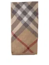 Burberry Kids Kids Accessories In Brown